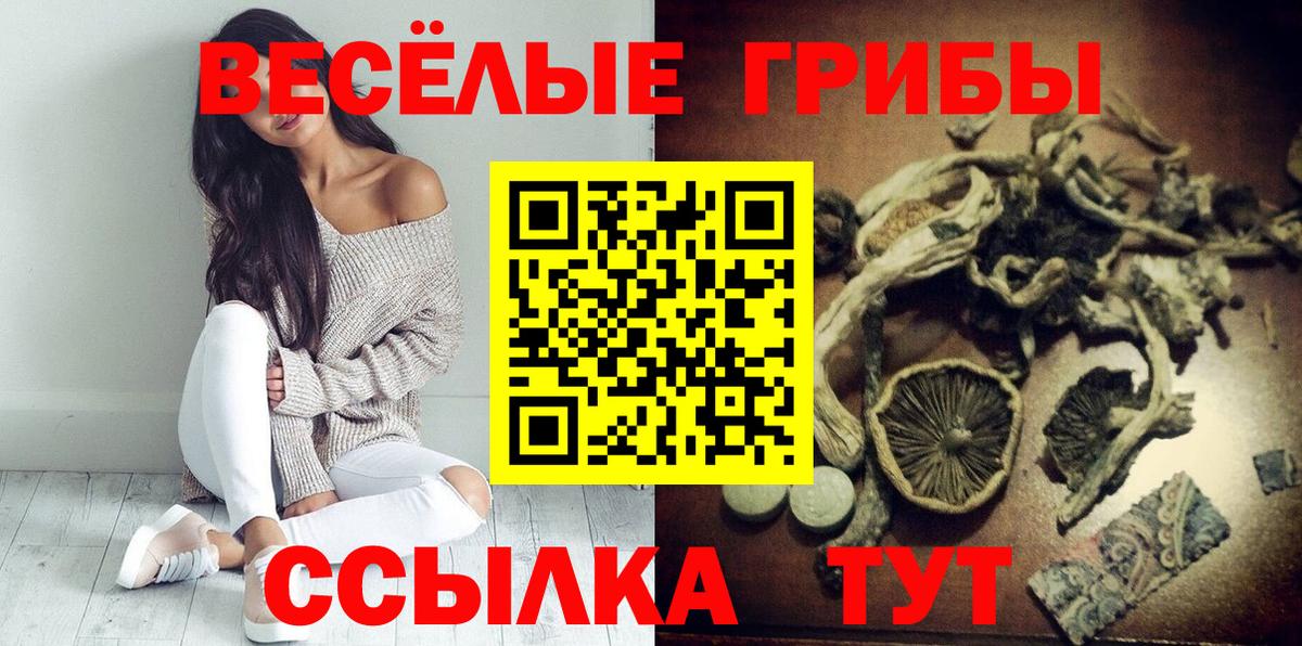 Галлюциногенные грибы MAGIC MUSHROOMS Черкесск