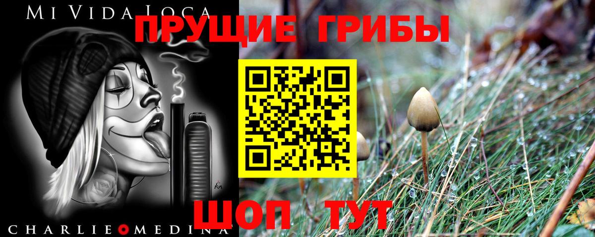 Псилоцибиновые грибы Cubensis  Вход с VPN  Псилоцибиновые грибы прущие грибы  Черкесск 